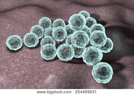 Chlamydia Trachomatis Bacteria, 3d Illustration, The Causative Agent Of Chlamydiosis