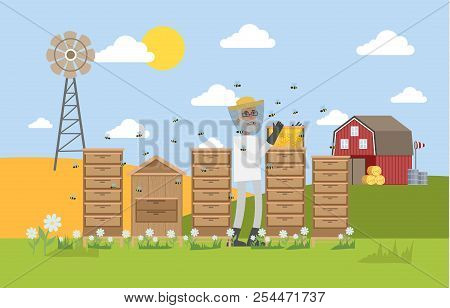 Beekepeer Standing In Apiary And Collecting Honey