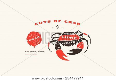 Stock Vector Crab Cuts Diagram In Flat Style. Color Print On White Background