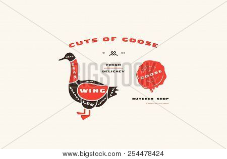 Stock Vector Goose Cuts Diagram In Flat Style. Color Print On White Background