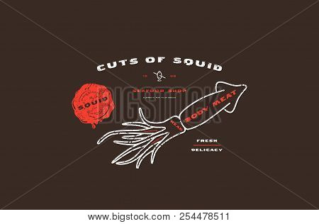 Stock Vector Squid Cuts Diagram In Thin Line Style. Design With Rough Texture. Color Print On Black 