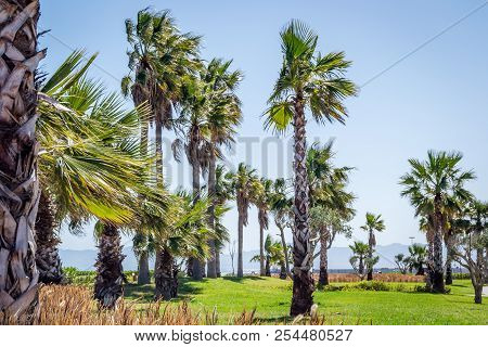 Day In The Nador