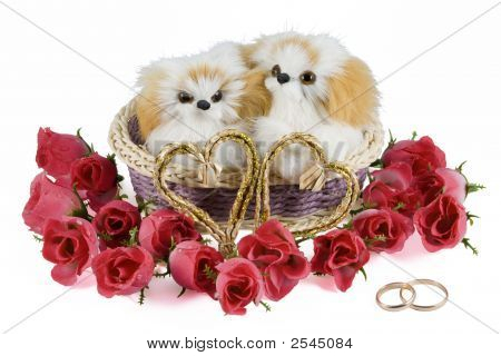 สองของเล่นลูกสุนัขในตะกร้ามีสองหัวใจและแหวนแต่งงาน