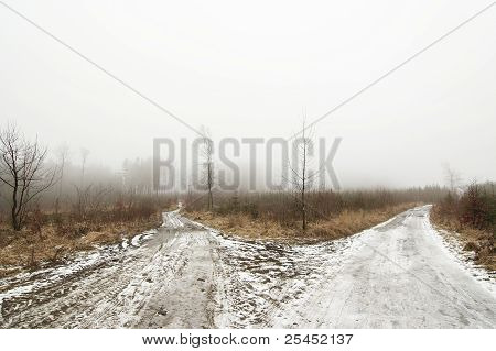 Paisaje de Invierno Nevado con camino de tierra