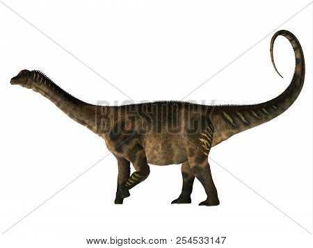Antarctosaurus Dinosaur Side Profile 3d Illustration - Antarctosaurus Was A Herbivorous Sauropod Din