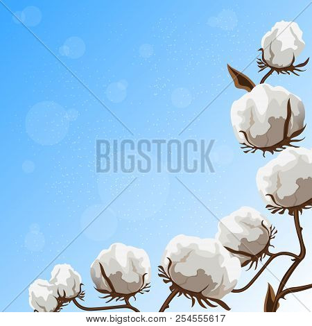 Pattern Of Cotton Plant With Brown Leaves And Fibers On A Blue Background