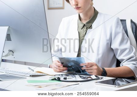 Female Physician At Modern Medical Doctor Office. Woman Examining X-ray At Workplace In Front Of A D