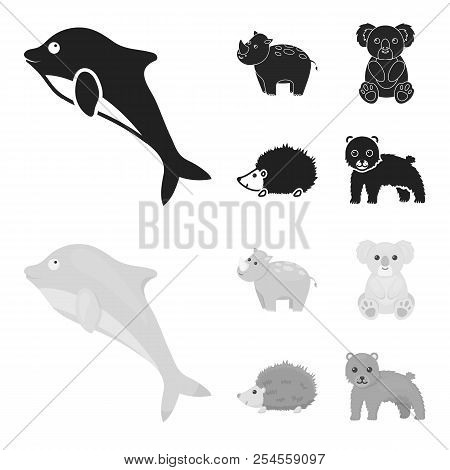 Rhino, Koala, Panther, Hedgehog.animal Set Collection Icons In Black, Monochrome Style Vector Symbol