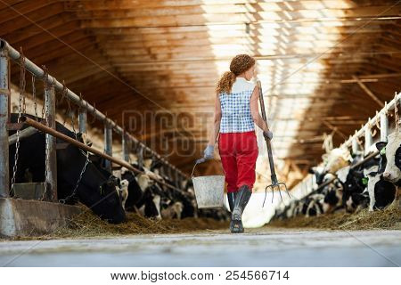 Rear view of one of farm workers with bucket and hayfork passing by stable with cows