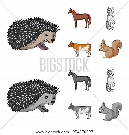 Horse, Cow, Cat, Squirrel And Other Kinds Of Animals.animals Set Collection Icons In Cartoon, Monoch