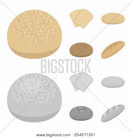 Toast, Pizza Stock, Ruffed Loaf, Round Rye.bread Set Collection Icons In Cartoon, Monochrome Style V