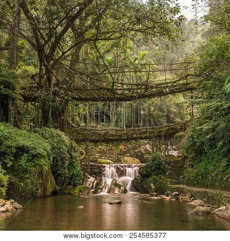 Famous Double Decker living roots bridge near Nongriat village, Cherrapunjee, Meghalaya, India. This bridge is formed by training tree roots over years to knit together.