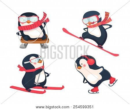 Snowboarder, Skier, Ice Skater And Luger Illustration. Active Penguins In Winter