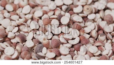 Chinese Gordon euryale see