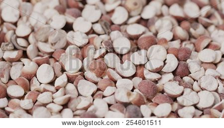 Chinese Gordon euryale seed