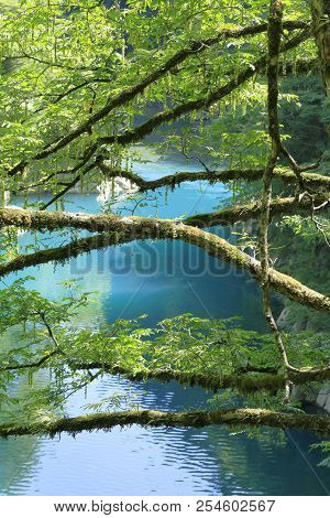 Dakigaeri Gorge In Senboku, Akita, Japan