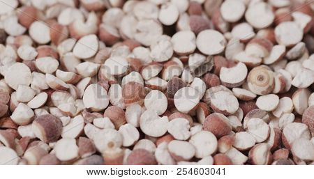 Chinese Gordon euryale seed