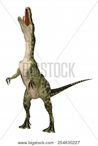 3D Rendering Dinosaur Monolophosaurus On White