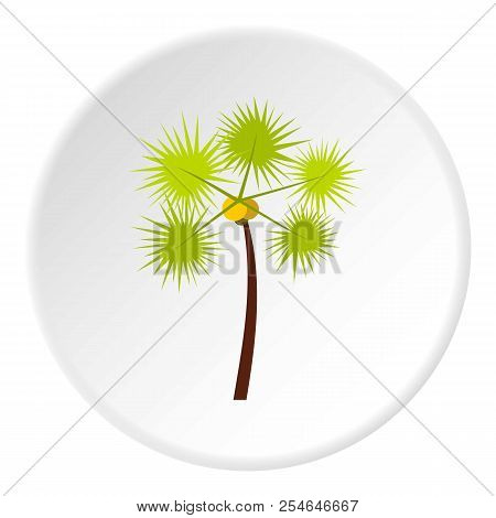 Palm Chamaerops Icon. Flat Illustration Of Palm Chamaerops Icon For Web