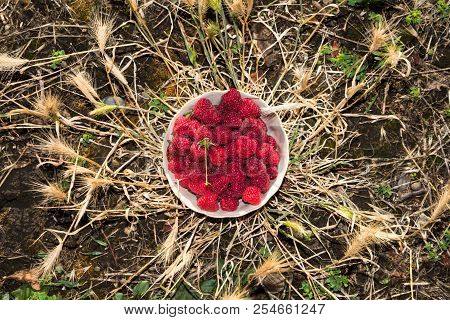 Organic Raspberries In A Bowl . Raspberry Fruit