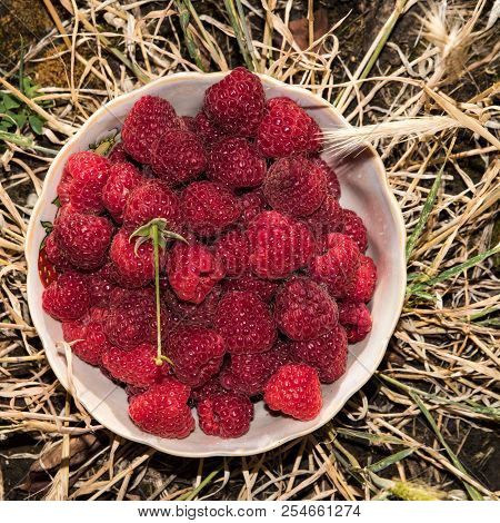 Organic Raspberries In A Bowl . Raspberry Fruit