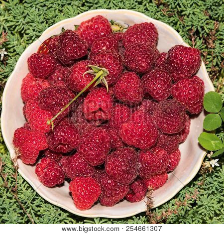 Organic Raspberries In A Bowl . Raspberry Fruit