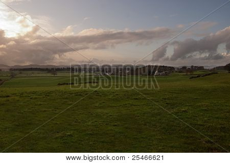 Field Landscape