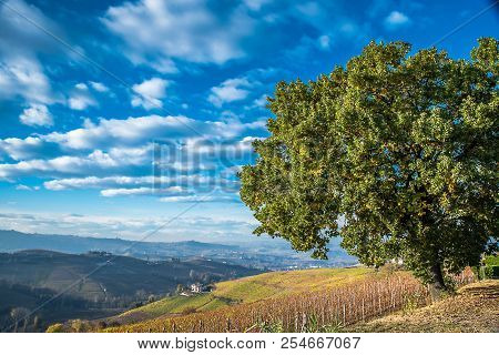 Autumn In Langa, A Beautiful Country In Piedmont