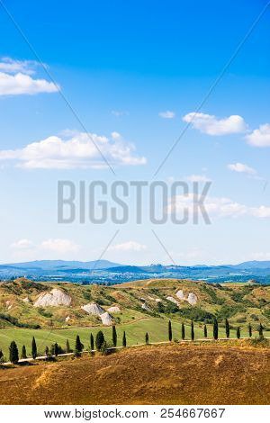Road And Cypresses On A Hill Near Asciano In Crete Senesi, Tuscany, Italy