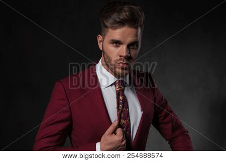 portrait of elegant man wearing a grena suit and tie while sitting on grey wallpaper background, holding his collar