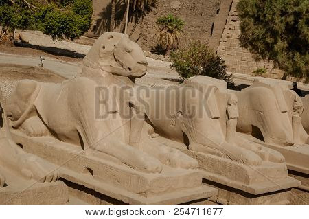 Ram Head Sphinxes In Abu Simbel Temple Of Egypt