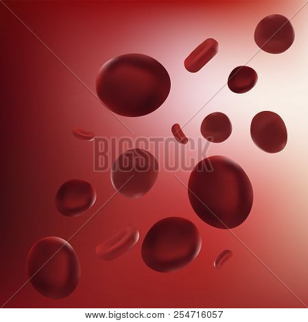 Realistic Vector Illustration Red Blood Cell. Scientific Concept. Red Blood Cells In Vein