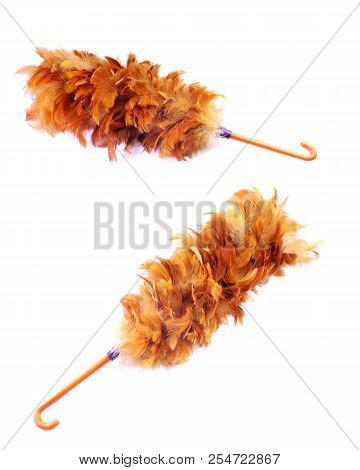 Set Of Feather Duster Isolated On White Background