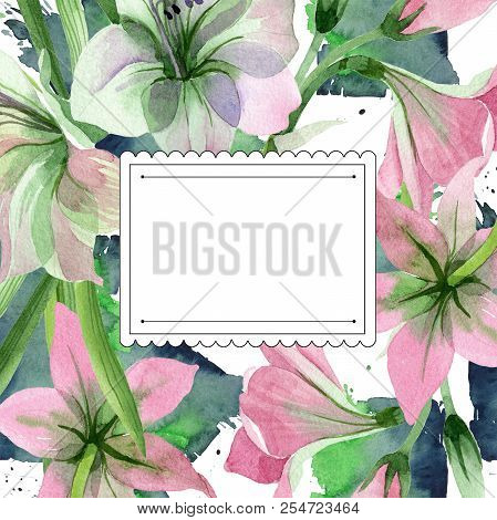 Watercolor Pink Amarylis Flower. Floral Botanical Flower. Frame Border Ornament Square.