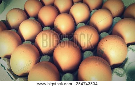 Picture With Eggs Wich Can Be Used In Articles Posted On Bloggs.