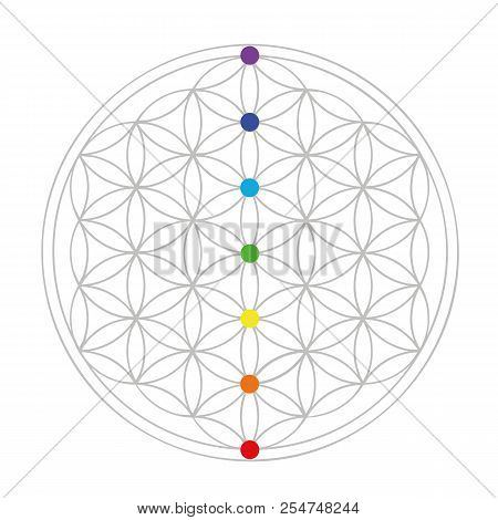 Colorful Flower Of Life Geometry Vector Illustration Eps10