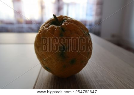 Fruit Resulting From The Cross-fertilization Between Lemon And Orange