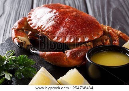 Cooked Edible Brown Crab Served With Melted Butter, Lemon And Parsley Close-up On A Black. Horizonta