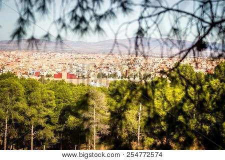 Day In Forest Of Oujda With Trees