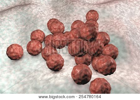 Chlamydia Trachomatis Bacteria, 3d Illustration, The Causative Agent Of Chlamydiosis