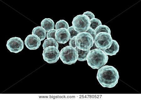 Chlamydia Trachomatis Bacteria, 3d Illustration, The Causative Agent Of Chlamydiosis
