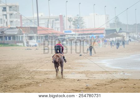 Horse In Saaidia Beach