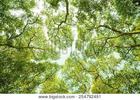 The Gap Between Branches And Branches Like Couple Life Even We Have Married, We Have Own Area