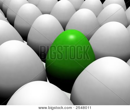 Eggs02
