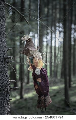 Sinister Image With A Scarecrow Hanged With A White Rope From A Tree Without Leaves, In A Dark Fores