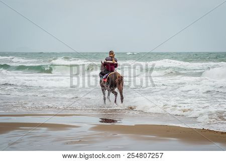 Horse In Saaidia Beach