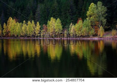 Idyllic Autumn Landscape With Colorful Green And Yellow Trees Reflecting In The Lake. Transylvania, 