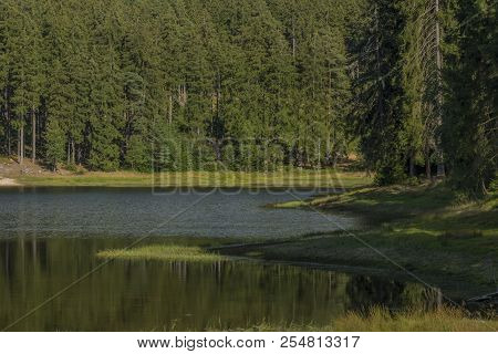 Komari Ponds Near Sokolov Town In Summer Hot Sunny Day