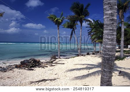 Mexico Yucatan Cancun Beach Caribbean Sea
