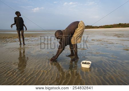Orango Island, Guinea-bissau - February 2, 2018: Children Collecting Cockles At The Beach In The Isl